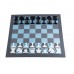 Set șah Magne 2D